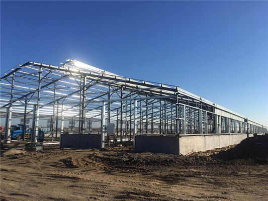 Q235B Vorgefertigtes Stahlkonstruktionsgebäude für Rinderfarm