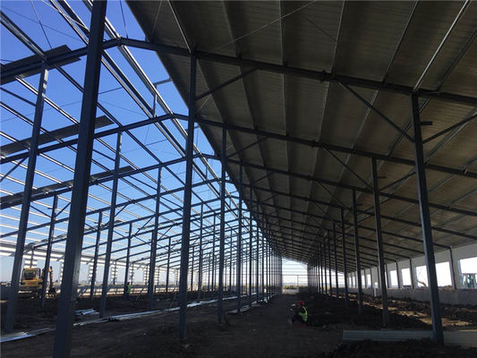 Q235B Vorgefertigtes Stahlkonstruktionsgebäude für Rinderfarm