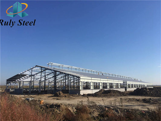 Vorkonstruktion von Metallgebäuden/Stahlrahmen/Geflügelhaus/Schwergewicht/Leichtgewicht/Werkstatt für industrielle Stahlkonstruktionen