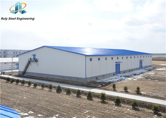 Qingdao Fertigung Professionelle Konstruktion kundenspezifische Stahlkonstruktion Vorgefertigte Fabrik Werkstatt