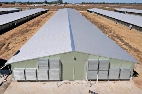Fertigwaren aus Metall und Stahl Geflügelhaus Industrie Stahlstruktur