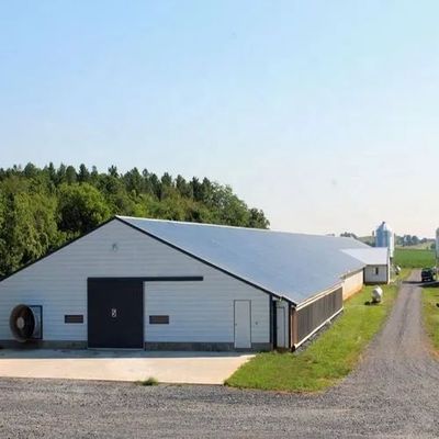 Fertigwaren aus Metall und Stahl Geflügelhaus Industrie Stahlstruktur