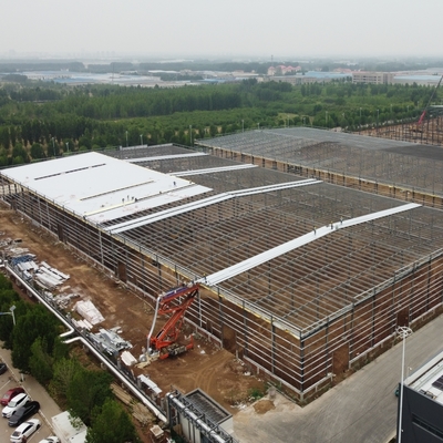 Leichtstahlrahmen-Lagergebäude mit Stahl Q235B/Q355B