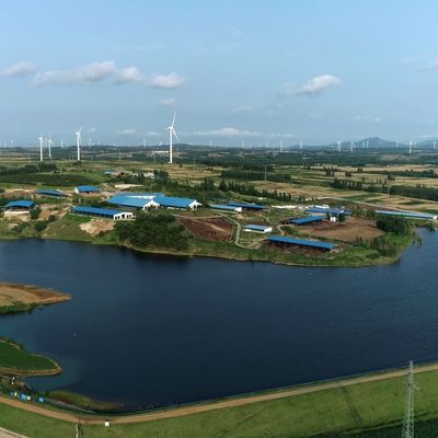 Galvanisierter Stahl-Kuhstall für Milchvieh 20+ Jahre Lebensdauer