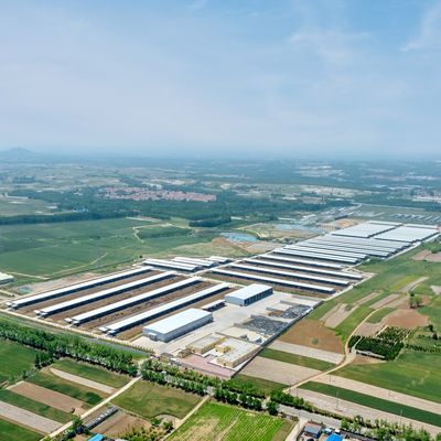 Design Lieferung Moderne Stahlkonstruktion Milchfarm Schuppen Metall Rinderstall mit Lüftungssystem