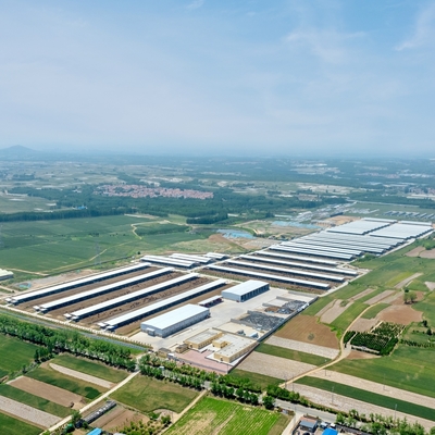 Geflügelhaus für Broiler-, Schicht- und Zuchtbetriebe    Prefabrizierte Stahlkonstruktion mit isolierten Platten und Lüftungssystem