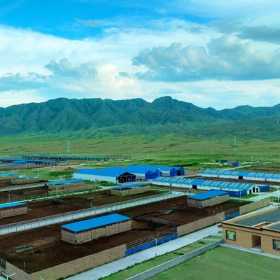 Vorgefertigte Stahlkonstruktion Modulare Kuhstall-Schuppen Stahlgebäude mit langlebiger Oberflächenbehandlung und langer Lebensdauer