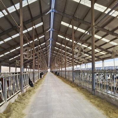 Vorgefertigte Gebäude Geflügelhaus Stahlkonstruktion Geflügelfarmhaus Stahlbauwerk für Kuhschuppen