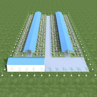 Design Lieferung Moderne Stahlkonstruktion Milchfarm Schuppen Metall Rinderstall mit Lüftungssystem