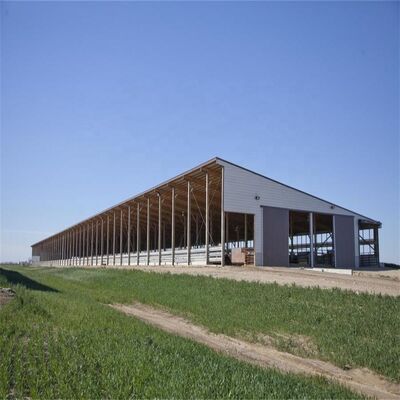 Vorgefertigte Gebäude Geflügelhaus Stahlkonstruktion Geflügelfarmhaus Stahlbauwerk für Kuhschuppen