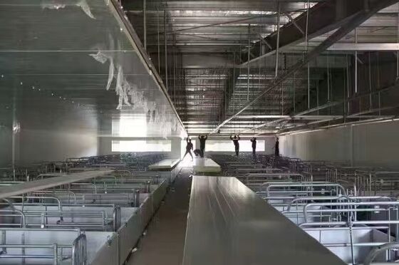 Vorgefertigte Gebäude Geflügelhaus Stahlkonstruktion Geflügelfarmhaus Stahlbauwerk für Kuhschuppen