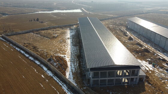 Vorgefertigte Stahlisolierte Handelsbroiler/Layer-Flügelhaus